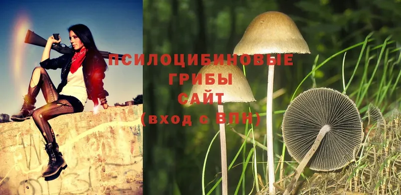 Галлюциногенные грибы MAGIC MUSHROOMS  блэк спрут ссылки  Буй 