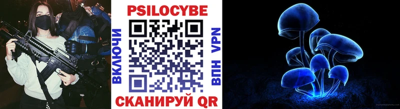 Псилоцибиновые грибы Psilocybine cubensis  Буй 